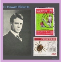 Fotografía de Howard Taylor Ricketts junto con dos sellos que se refieren a la enfermedad que causa la Rickettsia