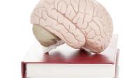 Cinco refranes que la neurociencia puede explicar