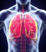 Representación de los pulmones, que es donde la tuberculosis se produce.