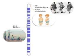 Cromosoma 4 y sus enfermedades