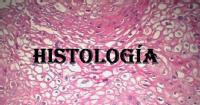 portada de histología