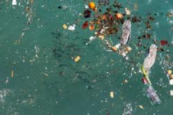 En esta imagen se representa una pequeña parte de los residuos que habitan el Mediterráneo.