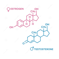 The image shows the sex hormone molecules of testosterone and estrogens