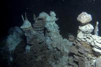 http://www.japantimes.co.jp/news/2015/05/07/world/science-health-world/deep-sea-microbes-called-missing-link-complex-cellular-life/