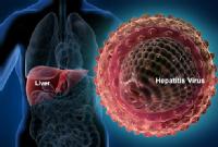 Imagen de https://coenfeba.com/el-93-de-los-madrilenos-tratados-por-hepatitis-c-tiene-e/ (CC)