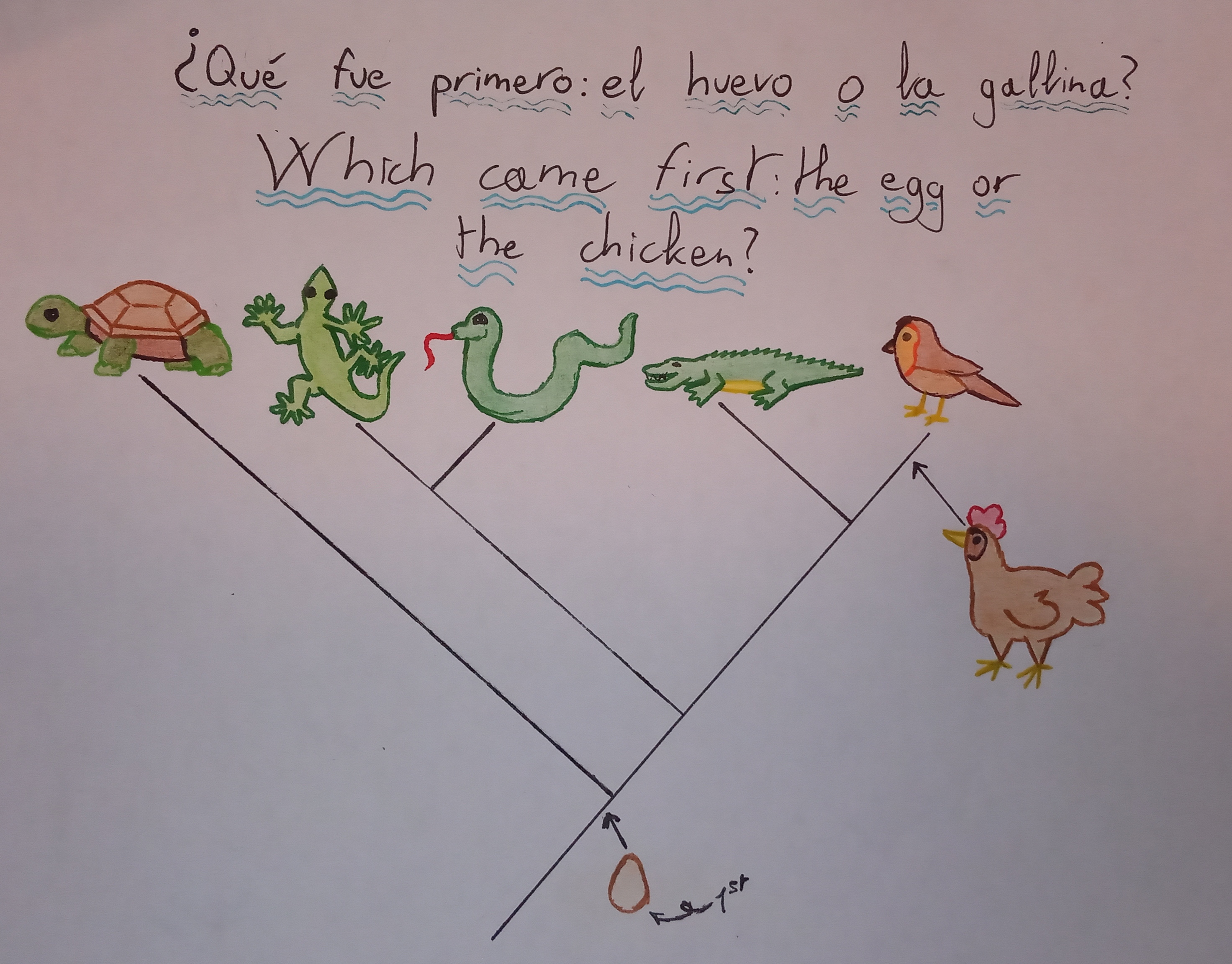 Imagen de la evolución, el huevo y la gallina