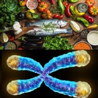 Imagen que muestra una foto de los principales alimentos de la dieta mediterránea y una imagen de un cromosoma donde los telómeros han sido resaltados