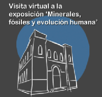 Visita virtual al Museo Nacional de Ciencias Naturales