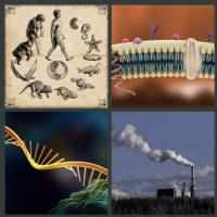 Collage con distintos elemntos: un esquema evolutivo, la bicapa lipídica, una célula y ARN y una fábrica