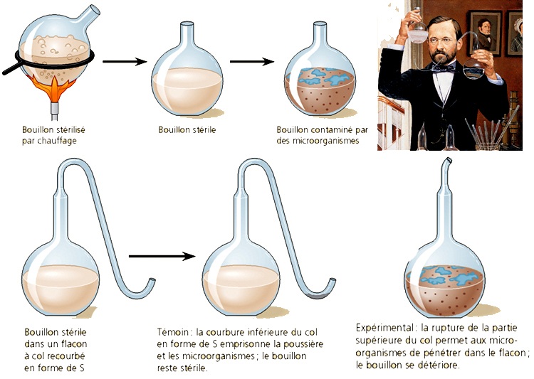 Experimento de Pasteur