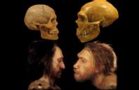 Imagen representativa del Homo Sapiens y el Homo Neanderthalensis.
