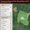 Explora biomas en Gorongosa National Park