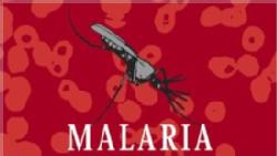 Exposición "Malaria"