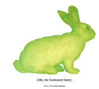 Alba. el conejo fluorescente