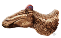 un dinosaurio de pico de pato con cresta de gallo