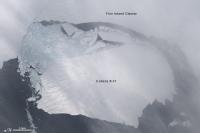 Un iceberg desgajado del glaciar de Pine