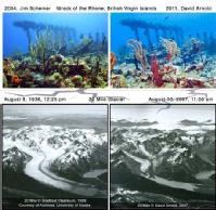 ¿Estan rediuciéndose los glaciares y los arrecifes de coral?