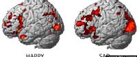 La actividad cerebral varía con las emociones