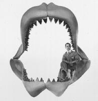 Reconstrucción de las mandíbulas de un tiburón gigante