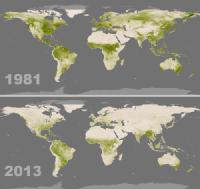 Un planeta cada vez menos verde