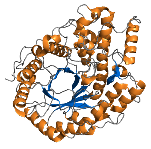 A CG render of a molecule of amylase