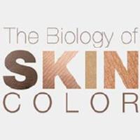 The biology of Skin Color