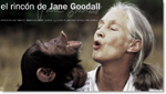 El rincón de Jane Goodall
