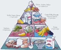 En esta imagen podemos ver una pirámide de la alimentación antigua 