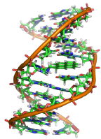 Ácidos nucleicos