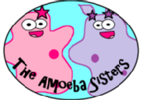  the Amoeba Sisters