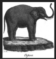 El elefante de Aranjuez