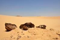 Meteoritos en el desierto