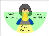 Diferencias entre la visión periférica y la visión central